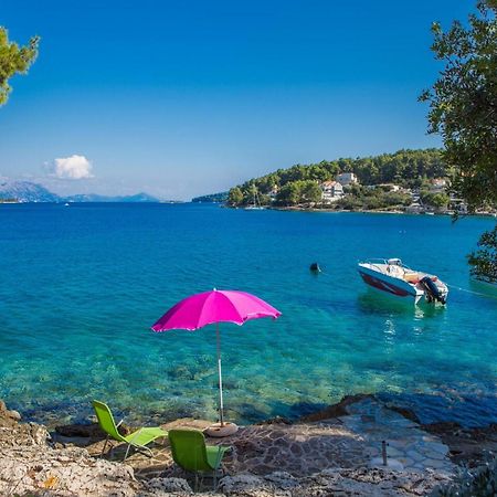Apartments Villa Diha Korčula Rom bilde