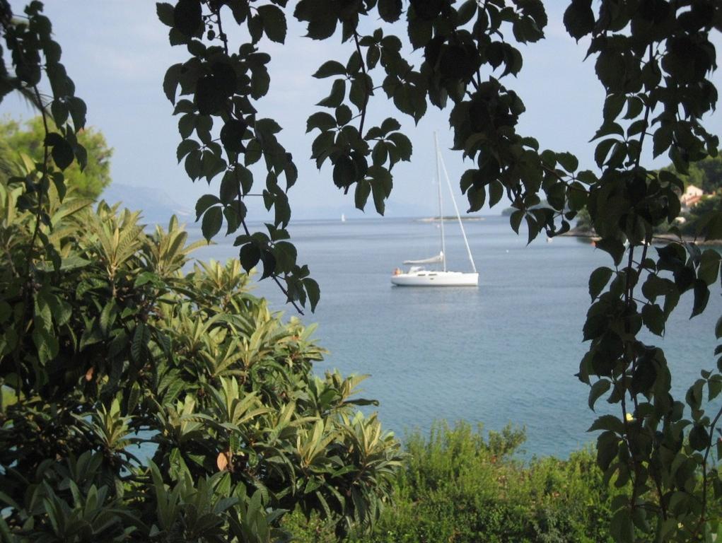 Apartments Villa Diha Korčula Eksteriør bilde